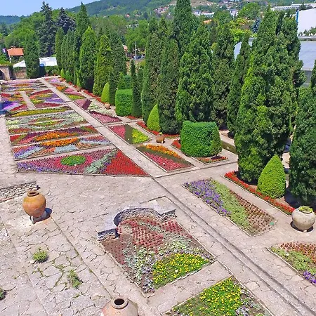 Guest Soleo Guest house