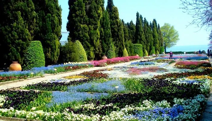 Guest Soleo Guest house