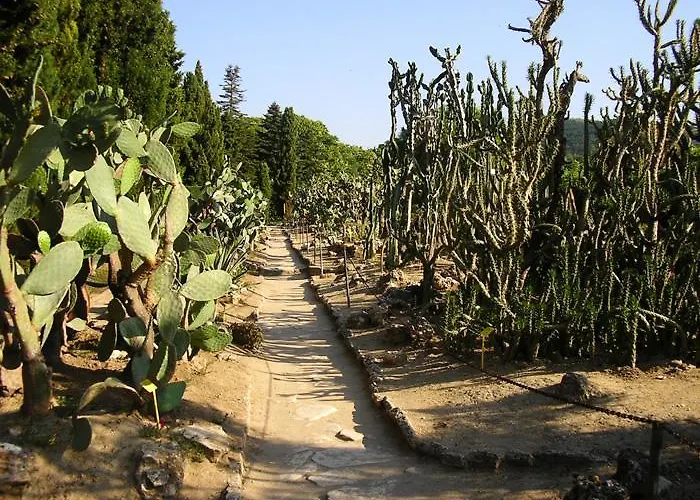 Guest Soleo Guest house 3*